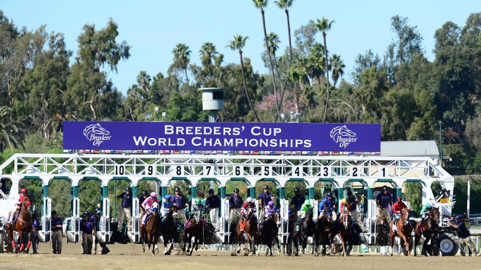 Breeders' Cup